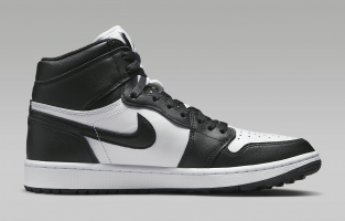Air Jordan I High G