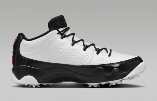 Air Jordan 9 G