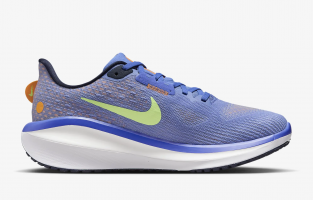 Nike Vomero 17