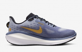 Nike Vomero 17