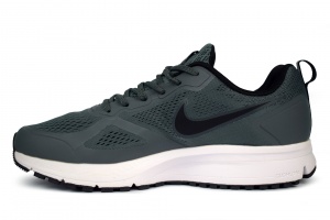 Nike AIR Zoom Pegasus 39