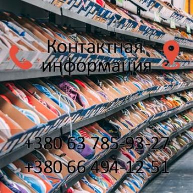 Контакты